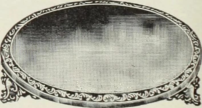 An illustration from Crockery & glass journal, 1875, leaf 437