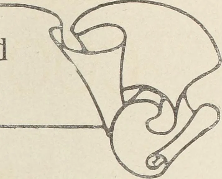 An illustration from Crockery & glass journal, 1875, leaf 626
