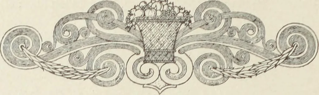 An illustration from Crockery & glass journal, 1875, leaf 683