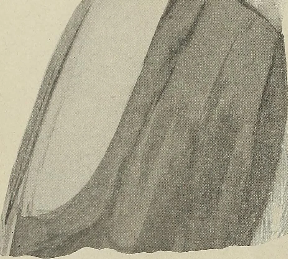 An illustration from Crockery & glass journal, 1875, leaf 147