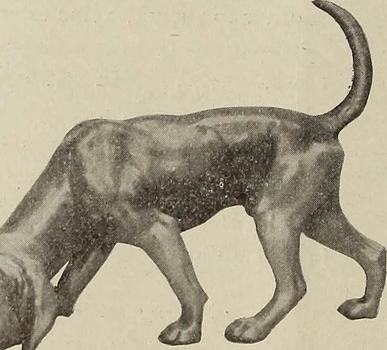 An illustration from Crockery & glass journal, 1875, leaf 177