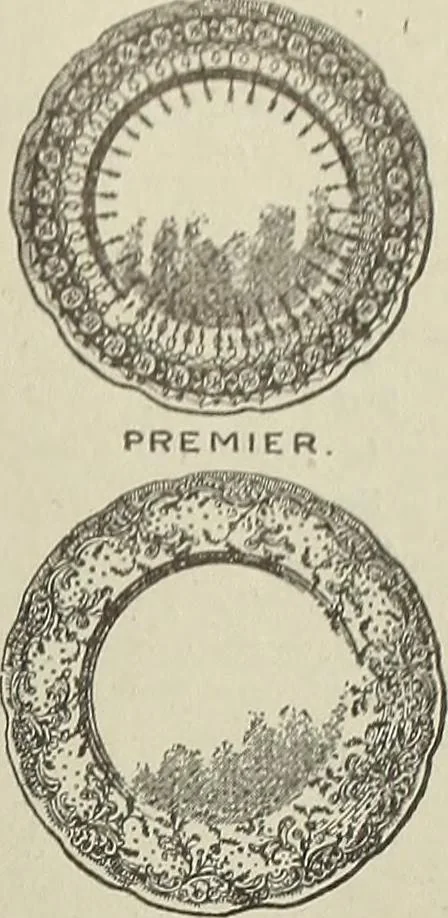 An illustration from Crockery & glass journal, 1875, leaf 254