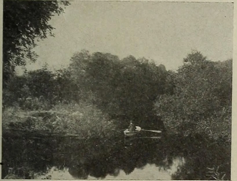 An illustration from Crockery & glass journal, 1875, leaf 230