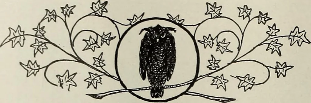 An illustration from Crockery & glass journal, 1875, leaf 333