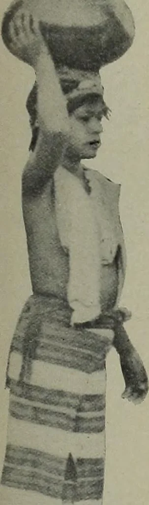 An illustration from Crockery & glass journal, 1875, leaf 488
