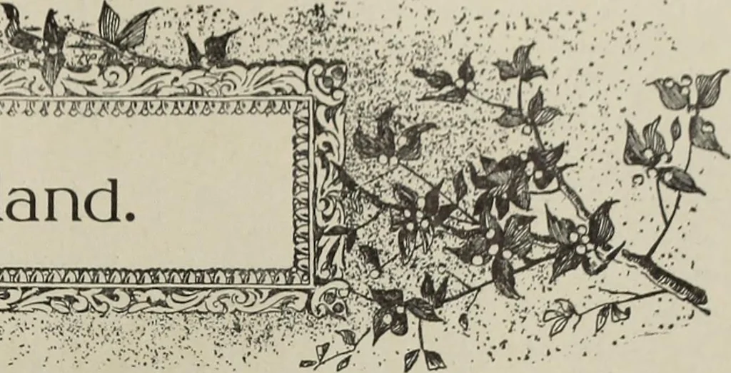 An illustration from Crockery & glass journal, 1875, leaf 518