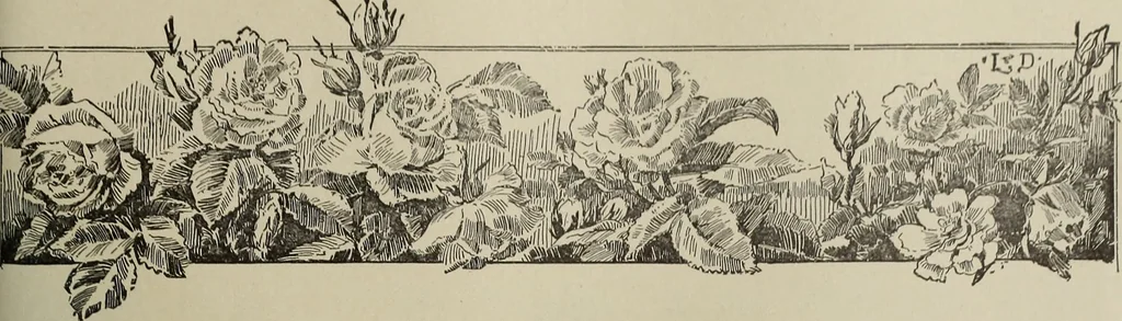 An illustration from Crockery & glass journal, 1875, leaf 570