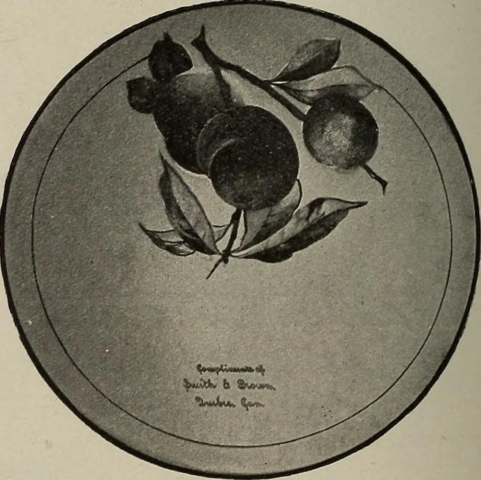 An illustration from Crockery & glass journal, 1875, leaf 589