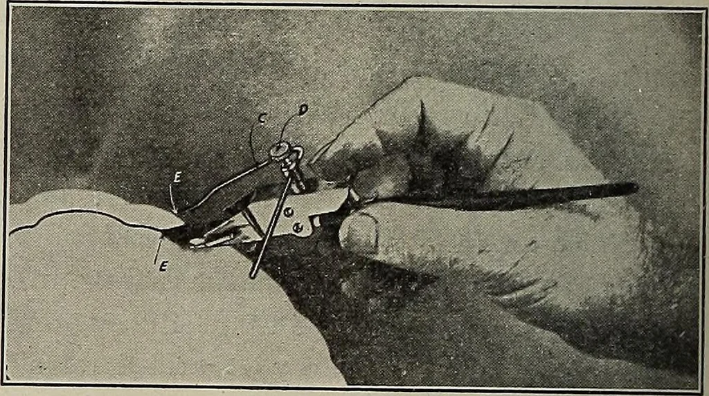 An illustration from Crockery & glass journal, 1875, leaf 301