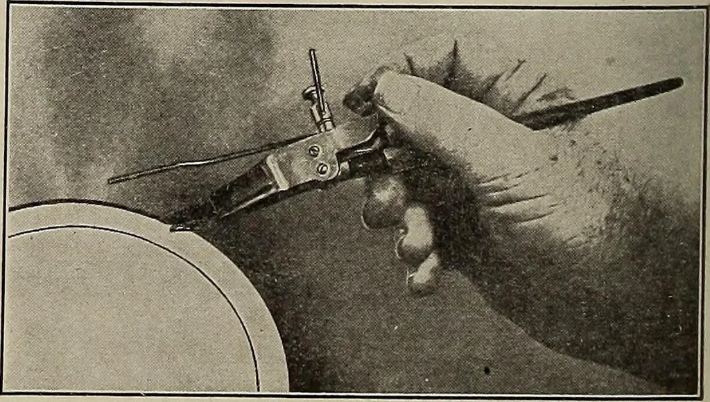 An illustration from Crockery & glass journal, 1875, leaf 301