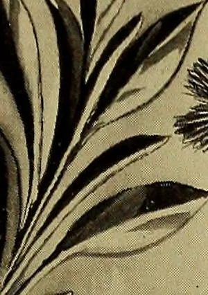 An illustration from Crockery & glass journal, 1875, leaf 500