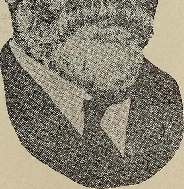 An illustration from Crockery & glass journal, 1875, leaf 87