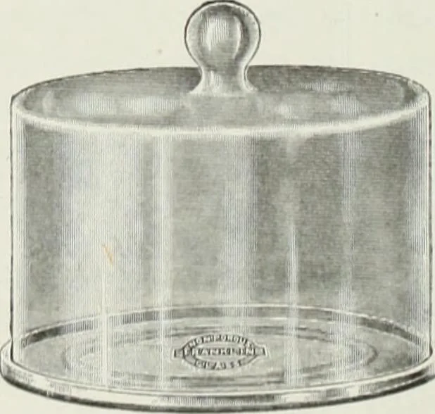 An illustration from Crockery & glass journal, 1875, leaf 279