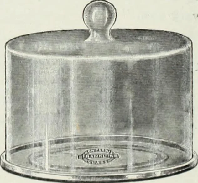 An illustration from Crockery & glass journal, 1875, leaf 313