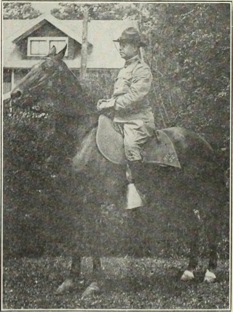 An illustration from Crockery & glass journal, 1875, leaf 207