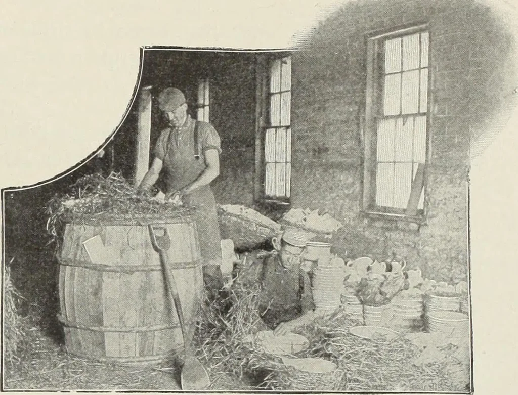 An illustration from Crockery & glass journal, 1875, leaf 418