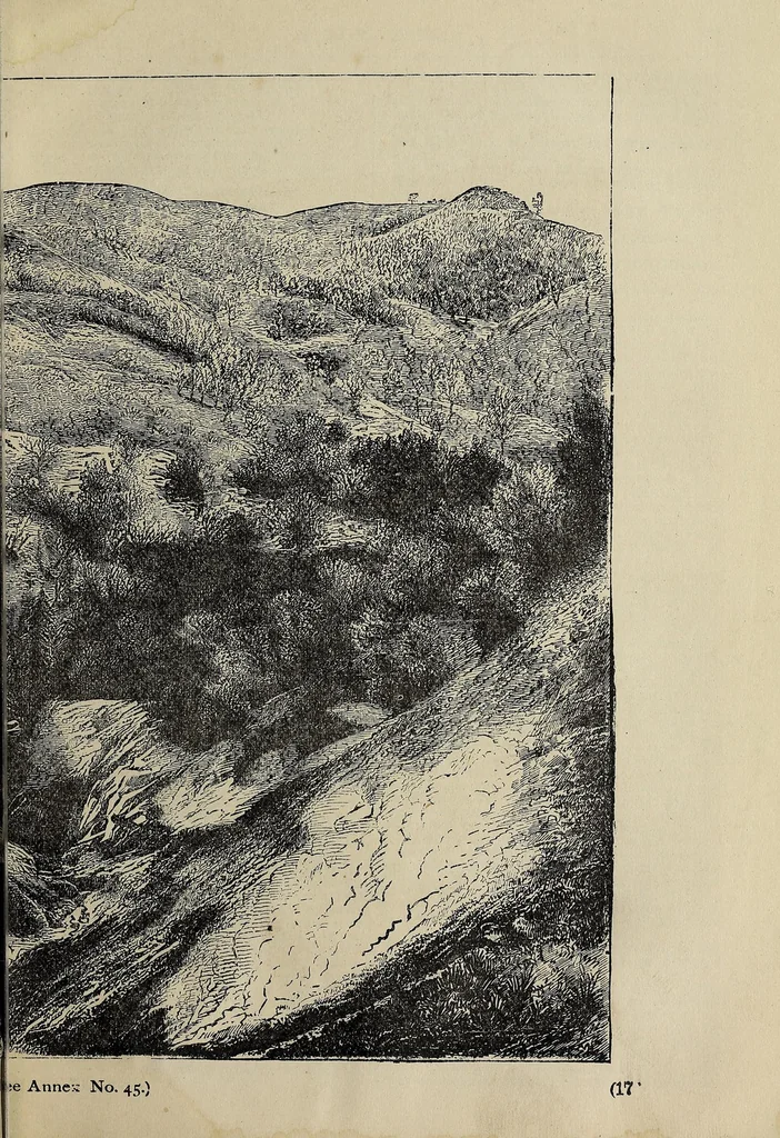 An illustration from Crofutt's new Overland tourist, and Pacific Coast guide ... over the Union, Kansas, Central and Southern Pacific Railroads, their branches and connections, by rail, water and stage .., 1883, leaf 357