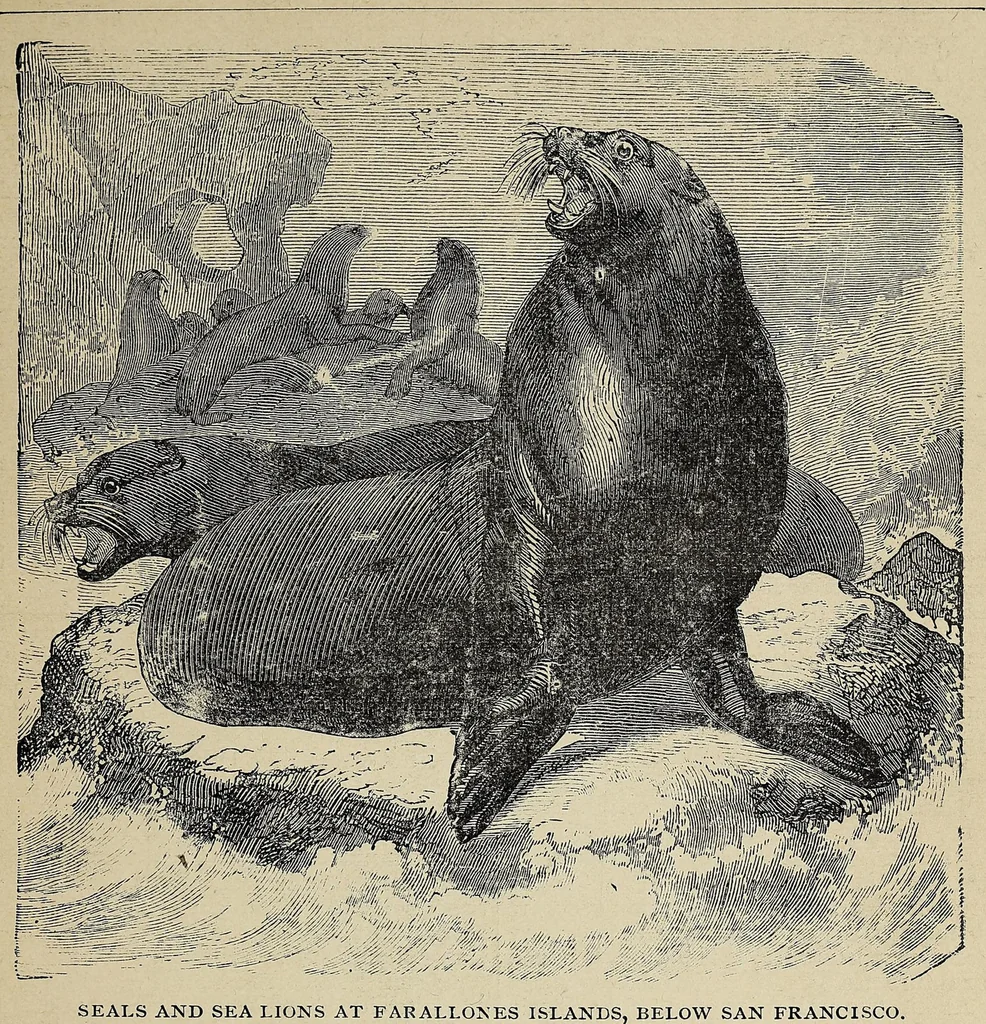 An illustration from Crofutt's new Overland tourist, and Pacific Coast guide ... over the Union, Kansas, Central and Southern Pacific Railroads, their branches and connections, by rail, water and stage .., 1883, leaf 93