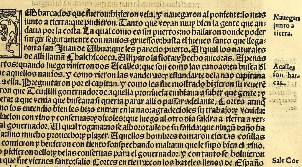 An illustration from Cronica de la Nueua España : con la conquista de Mexico, y otras cosas notables: hechas por el valeroso Hernando Cortes, ., 1554, leaf 241