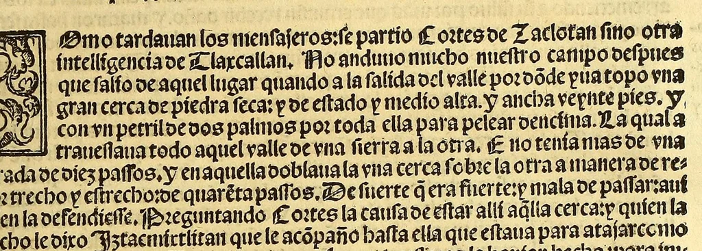 An illustration from Cronica de la Nueua España : con la conquista de Mexico, y otras cosas notables: hechas por el valeroso Hernando Cortes, ., 1554, leaf 263