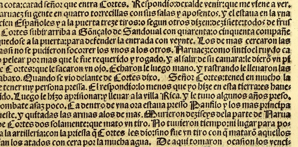 An illustration from Cronica de la Nueua España : con la conquista de Mexico, y otras cosas notables: hechas por el valeroso Hernando Cortes, ., 1554, leaf 315
