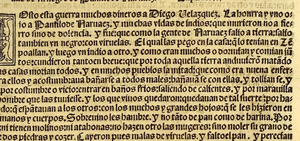 An illustration from Cronica de la Nueua España : con la conquista de Mexico, y otras cosas notables: hechas por el valeroso Hernando Cortes, ., 1554, leaf 315