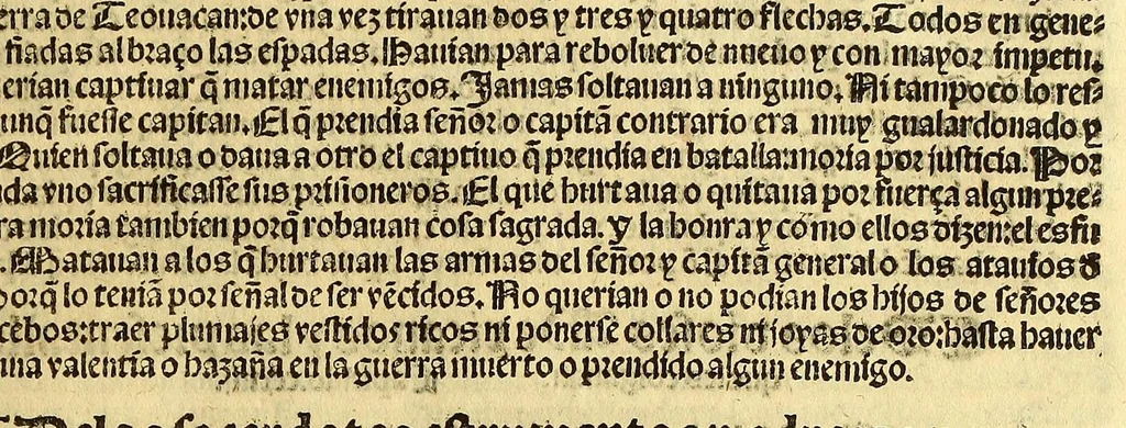 An illustration from Cronica de la Nueua España : con la conquista de Mexico, y otras cosas notables: hechas por el valeroso Hernando Cortes, ., 1554, leaf 425