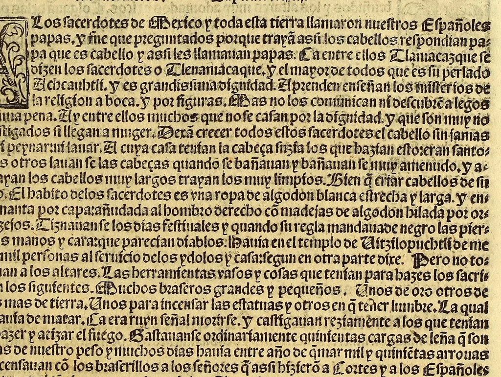 An illustration from Cronica de la Nueua España : con la conquista de Mexico, y otras cosas notables: hechas por el valeroso Hernando Cortes, ., 1554, leaf 425