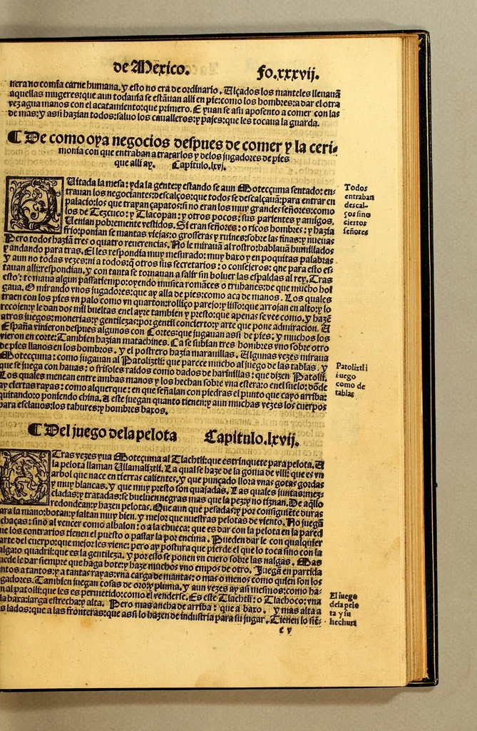 An illustration from Cronica de la Nueua España : con la conquista de Mexico, y otras cosas notables: hechas por el valeroso Hernando Cortes, ., 1554, leaf 77