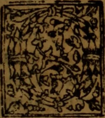 An illustration from Cronica del rey don Rodrigo con la destruycion de España : y como los moros la ganaron, 1587, leaf 210