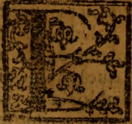 An illustration from Cronica del rey don Rodrigo con la destruycion de España : y como los moros la ganaron, 1587, leaf 243