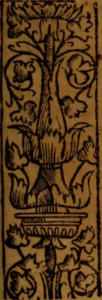 An illustration from Cronica del rey don Rodrigo con la destruycion de España : y como los moros la ganaron, 1587, leaf 258
