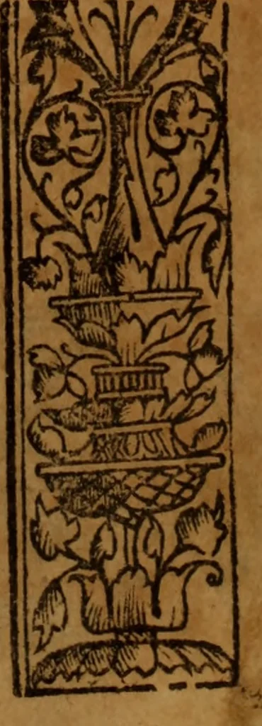 An illustration from Cronica del rey don Rodrigo con la destruycion de España : y como los moros la ganaron, 1587, leaf 258