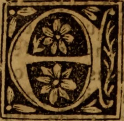 An illustration from Cronica del rey don Rodrigo con la destruycion de España : y como los moros la ganaron, 1587, leaf 404