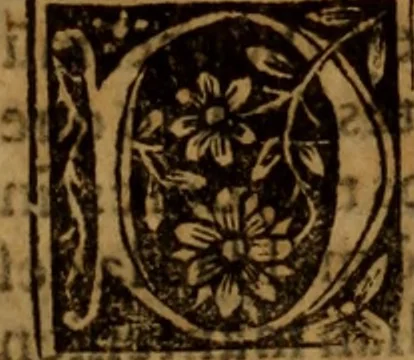 An illustration from Cronica del rey don Rodrigo con la destruycion de España : y como los moros la ganaron, 1587, leaf 416