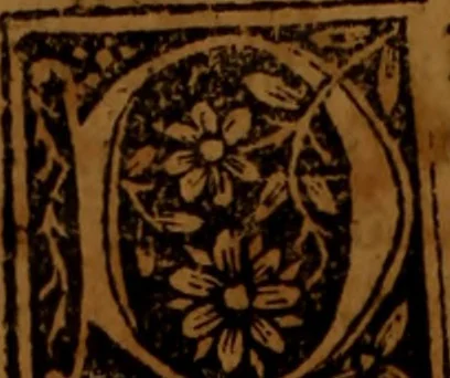 An illustration from Cronica del rey don Rodrigo con la destruycion de España : y como los moros la ganaron, 1587, leaf 419