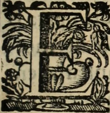 An illustration from Cronicas delrey d Ioam de gloriosa memoria o I. deste nome, e dos reys de Portugal o X. e as dos reys D. Duarte, e D. Affonso o V. ... : tiradas a luz por ordem do il.mo, e r.mo senhor Dom Rodrigo da Cunha. arcebispo de Lisboa ... e Autos do levantamento, e iuromentos delrey n.s. D. Ioam o IV, 1643, leaf 104