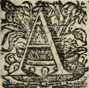 An illustration from Cronicas delrey d Ioam de gloriosa memoria o I. deste nome, e dos reys de Portugal o X. e as dos reys D. Duarte, e D. Affonso o V. ... : tiradas a luz por ordem do il.mo, e r.mo senhor Dom Rodrigo da Cunha. arcebispo de Lisboa ... e Autos do levantamento, e iuromentos delrey n.s. D. Ioam o IV, 1643, leaf 114