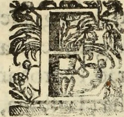 An illustration from Cronicas delrey d Ioam de gloriosa memoria o I. deste nome, e dos reys de Portugal o X. e as dos reys D. Duarte, e D. Affonso o V. ... : tiradas a luz por ordem do il.mo, e r.mo senhor Dom Rodrigo da Cunha. arcebispo de Lisboa ... e Autos do levantamento, e iuromentos delrey n.s. D. Ioam o IV, 1643, leaf 131