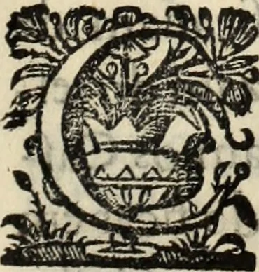 An illustration from Cronicas delrey d Ioam de gloriosa memoria o I. deste nome, e dos reys de Portugal o X. e as dos reys D. Duarte, e D. Affonso o V. ... : tiradas a luz por ordem do il.mo, e r.mo senhor Dom Rodrigo da Cunha. arcebispo de Lisboa ... e Autos do levantamento, e iuromentos delrey n.s. D. Ioam o IV, 1643, leaf 150