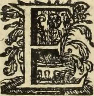 An illustration from Cronicas delrey d Ioam de gloriosa memoria o I. deste nome, e dos reys de Portugal o X. e as dos reys D. Duarte, e D. Affonso o V. ... : tiradas a luz por ordem do il.mo, e r.mo senhor Dom Rodrigo da Cunha. arcebispo de Lisboa ... e Autos do levantamento, e iuromentos delrey n.s. D. Ioam o IV, 1643, leaf 19