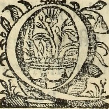 An illustration from Cronicas delrey d Ioam de gloriosa memoria o I. deste nome, e dos reys de Portugal o X. e as dos reys D. Duarte, e D. Affonso o V. ... : tiradas a luz por ordem do il.mo, e r.mo senhor Dom Rodrigo da Cunha. arcebispo de Lisboa ... e Autos do levantamento, e iuromentos delrey n.s. D. Ioam o IV, 1643, leaf 205