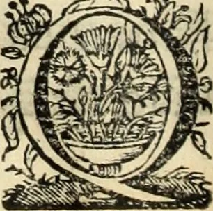 An illustration from Cronicas delrey d Ioam de gloriosa memoria o I. deste nome, e dos reys de Portugal o X. e as dos reys D. Duarte, e D. Affonso o V. ... : tiradas a luz por ordem do il.mo, e r.mo senhor Dom Rodrigo da Cunha. arcebispo de Lisboa ... e Autos do levantamento, e iuromentos delrey n.s. D. Ioam o IV, 1643, leaf 211