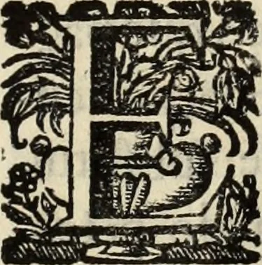 An illustration from Cronicas delrey d Ioam de gloriosa memoria o I. deste nome, e dos reys de Portugal o X. e as dos reys D. Duarte, e D. Affonso o V. ... : tiradas a luz por ordem do il.mo, e r.mo senhor Dom Rodrigo da Cunha. arcebispo de Lisboa ... e Autos do levantamento, e iuromentos delrey n.s. D. Ioam o IV, 1643, leaf 232