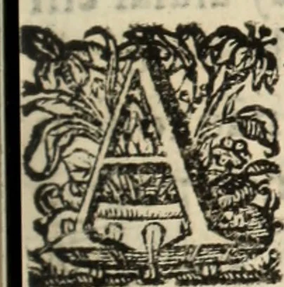 An illustration from Cronicas delrey d Ioam de gloriosa memoria o I. deste nome, e dos reys de Portugal o X. e as dos reys D. Duarte, e D. Affonso o V. ... : tiradas a luz por ordem do il.mo, e r.mo senhor Dom Rodrigo da Cunha. arcebispo de Lisboa ... e Autos do levantamento, e iuromentos delrey n.s. D. Ioam o IV, 1643, leaf 256