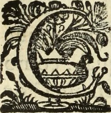An illustration from Cronicas delrey d Ioam de gloriosa memoria o I. deste nome, e dos reys de Portugal o X. e as dos reys D. Duarte, e D. Affonso o V. ... : tiradas a luz por ordem do il.mo, e r.mo senhor Dom Rodrigo da Cunha. arcebispo de Lisboa ... e Autos do levantamento, e iuromentos delrey n.s. D. Ioam o IV, 1643, leaf 273