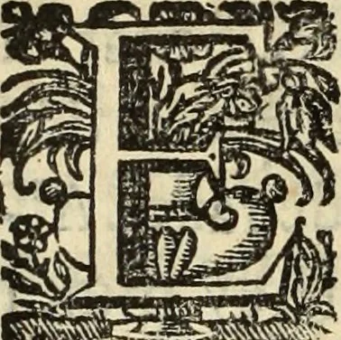 An illustration from Cronicas delrey d Ioam de gloriosa memoria o I. deste nome, e dos reys de Portugal o X. e as dos reys D. Duarte, e D. Affonso o V. ... : tiradas a luz por ordem do il.mo, e r.mo senhor Dom Rodrigo da Cunha. arcebispo de Lisboa ... e Autos do levantamento, e iuromentos delrey n.s. D. Ioam o IV, 1643, leaf 281
