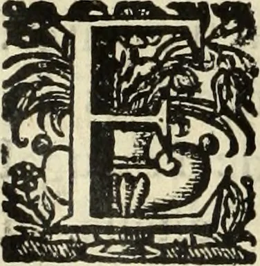 An illustration from Cronicas delrey d Ioam de gloriosa memoria o I. deste nome, e dos reys de Portugal o X. e as dos reys D. Duarte, e D. Affonso o V. ... : tiradas a luz por ordem do il.mo, e r.mo senhor Dom Rodrigo da Cunha. arcebispo de Lisboa ... e Autos do levantamento, e iuromentos delrey n.s. D. Ioam o IV, 1643, leaf 295