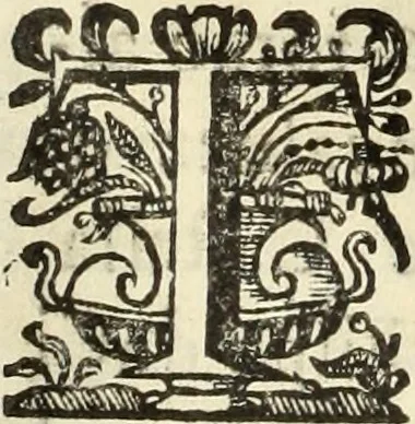An illustration from Cronicas delrey d Ioam de gloriosa memoria o I. deste nome, e dos reys de Portugal o X. e as dos reys D. Duarte, e D. Affonso o V. ... : tiradas a luz por ordem do il.mo, e r.mo senhor Dom Rodrigo da Cunha. arcebispo de Lisboa ... e Autos do levantamento, e iuromentos delrey n.s. D. Ioam o IV, 1643, leaf 301