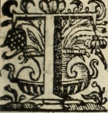 An illustration from Cronicas delrey d Ioam de gloriosa memoria o I. deste nome, e dos reys de Portugal o X. e as dos reys D. Duarte, e D. Affonso o V. ... : tiradas a luz por ordem do il.mo, e r.mo senhor Dom Rodrigo da Cunha. arcebispo de Lisboa ... e Autos do levantamento, e iuromentos delrey n.s. D. Ioam o IV, 1643, leaf 304